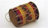 Indian Musical Instrument